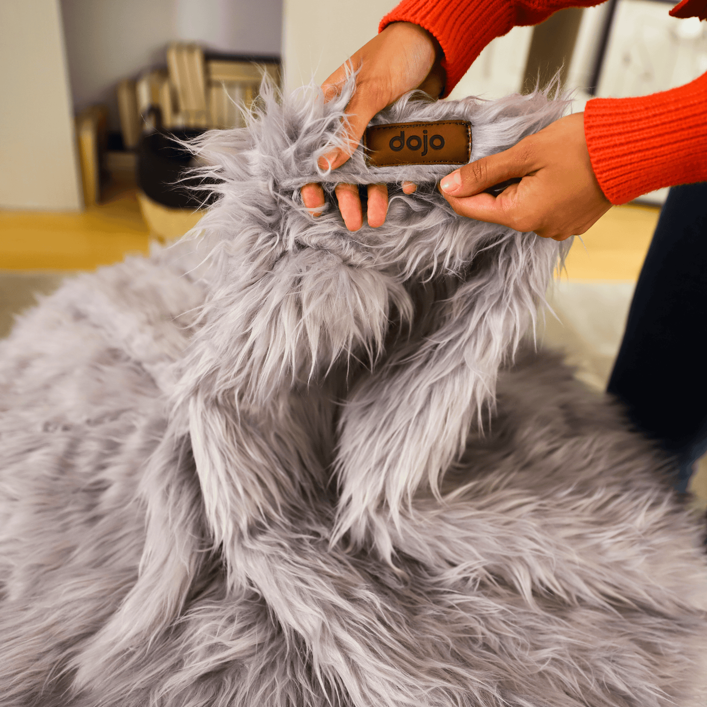 Dojo Teardrop Bean Bag